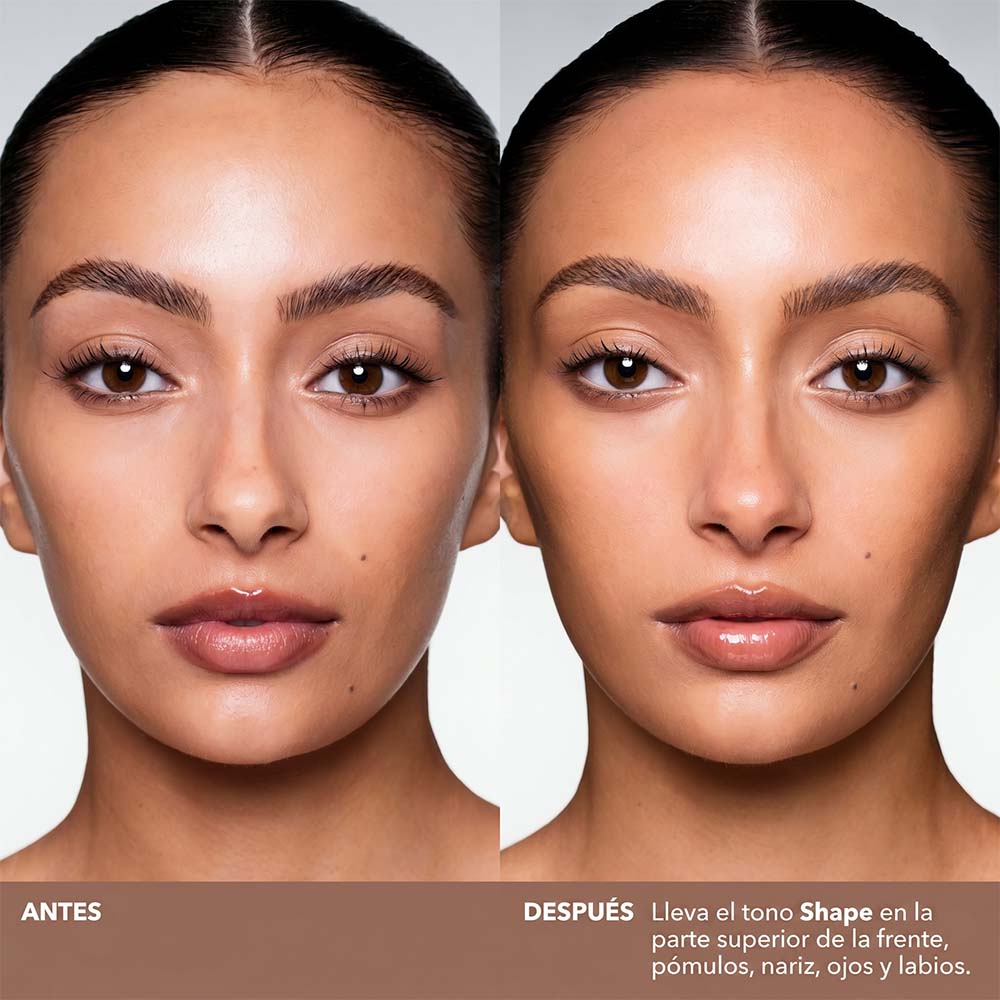MAJOR SCULPT SHAPE&SHADE ANYWHERE ARTISTRY STICK (CONTORNO EN BARRA)